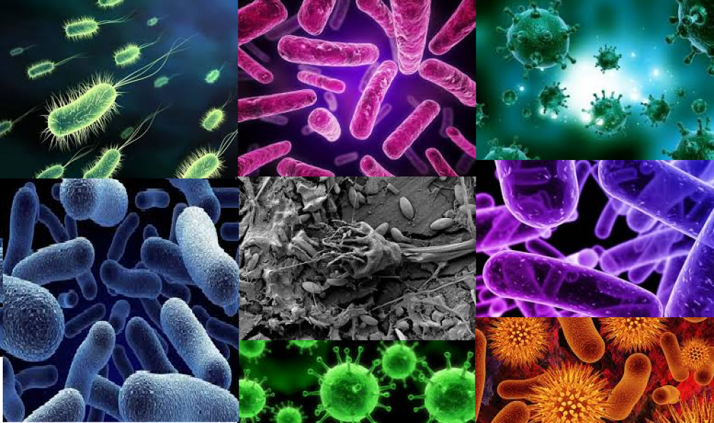 Microbiolog: „Următoarea pandemie a început deja. Covid-ul a accelerat apariția superbacterilor”