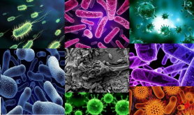 Microbiolog: „Următoarea pandemie a început deja. Covid-ul a accelerat apariția superbacterilor”