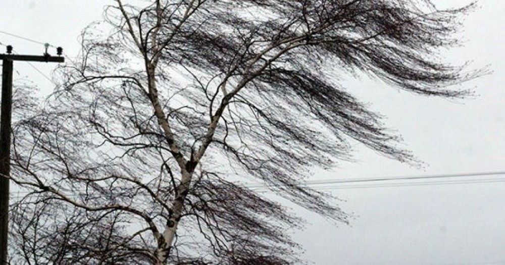 ALERTĂ // Cod GALBEN meteorologic: Vânturi puternice pe întreg teritoriul țării