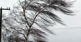 ALERTĂ // Cod GALBEN meteorologic: Vânturi puternice pe întreg teritoriul țării