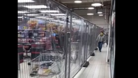 SCANDAL într-un supermarket Kaufland: Au separat cu gard metalic clienții vaccinați de cei nevaccinați