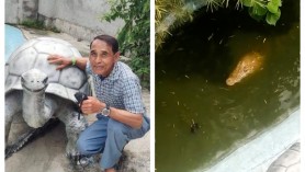 Bărbat atacat și rănit grav de un crocodil pe care l-a confundat cu o replică din plastic, într-un parc de distracții