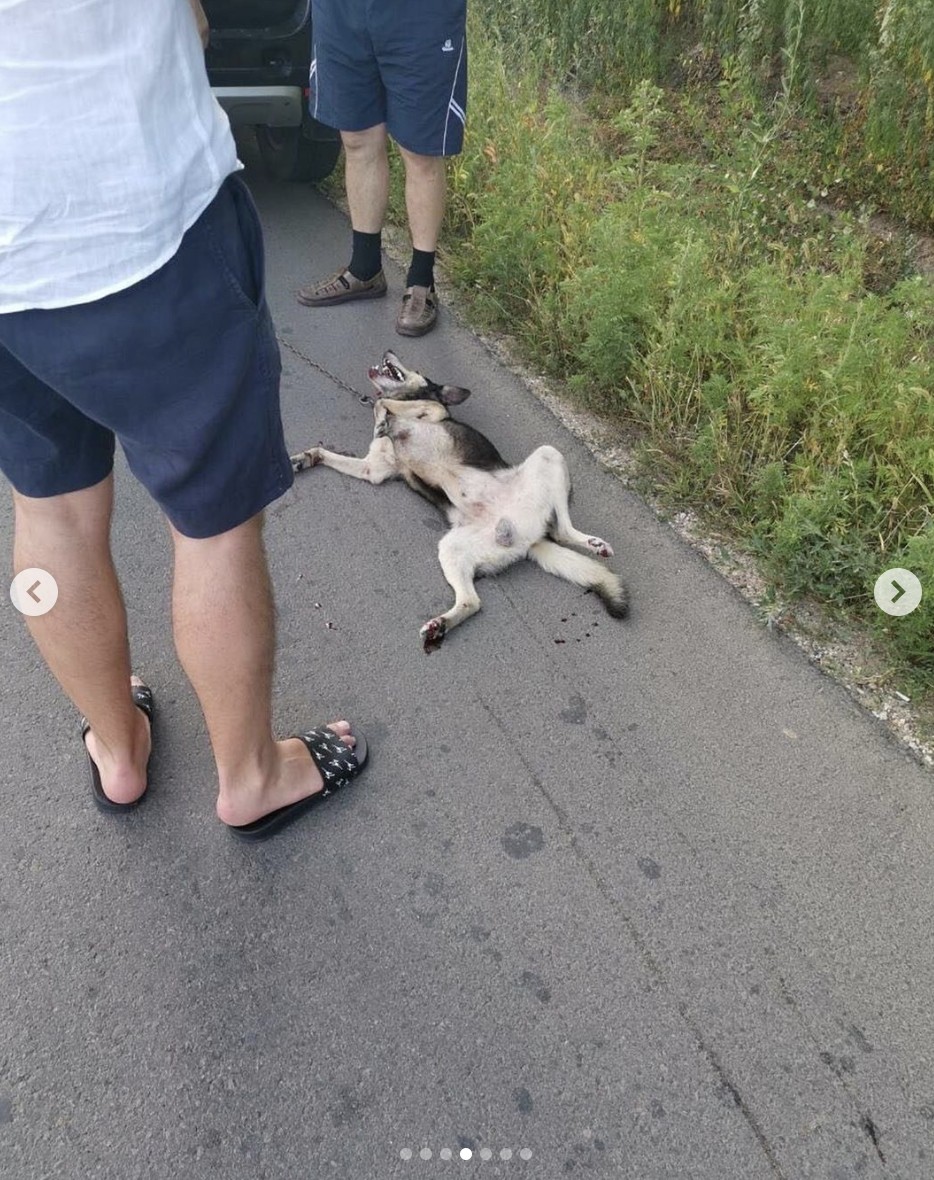 FOTO // Preotul care a târât un câine în urma mașinii a fost exclus din clerul Bisericii Ortodoxe din Moldova