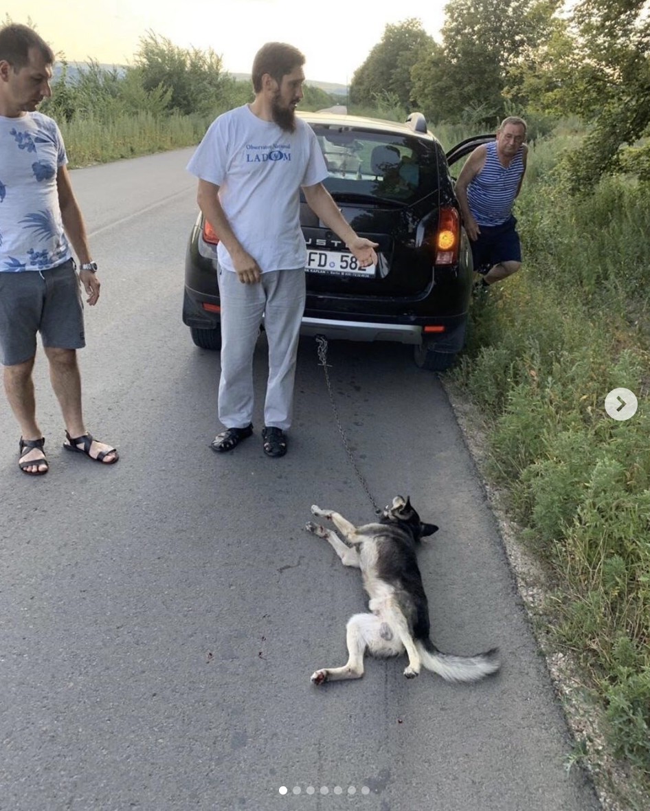 FOTO // Preotul care a târât un câine în urma mașinii a fost exclus din clerul Bisericii Ortodoxe din Moldova