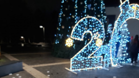 FOTO // REVOLTĂTOR - Pomul de Crăciun din parcul „Valea Trandafirilor” DISTRUS de vandali