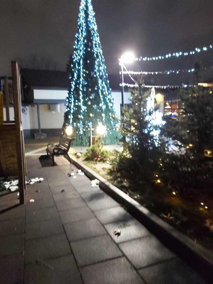 FOTO // REVOLTĂTOR - Pomul de Crăciun din parcul „Valea Trandafirilor” DISTRUS de vandali