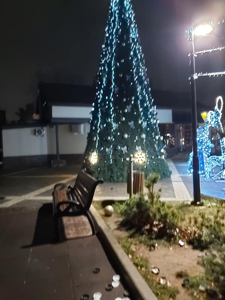 FOTO // REVOLTĂTOR - Pomul de Crăciun din parcul „Valea Trandafirilor” DISTRUS de vandali