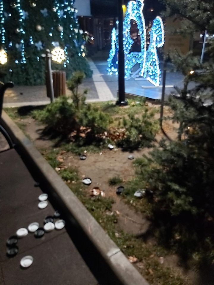 FOTO // REVOLTĂTOR - Pomul de Crăciun din parcul „Valea Trandafirilor” DISTRUS de vandali