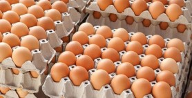 Ouăle – un aliment de LUX. La Bălți, acestea au ajuns să coste până la 36 de lei
