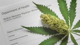 De ce marijuana ar putea fi noul sector auto al nemților