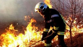 Incendiu la Sângera. Un câmp cu vegetație uscată a fost cuprins de flăcări