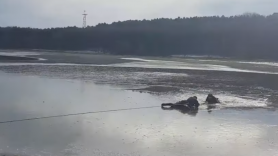 Un bărbat la un pas să-și piardă viața într-un lac din Chișinău încercând să-și salveze câinele