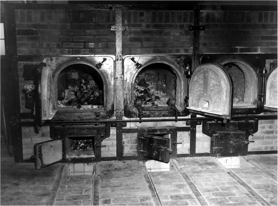 Viața în lagărul de la Auschwitz, considerat iadul pe pâmânt. De ce a fost ales acest loc. Peste 1,1 milioane de oameni au fost uciși