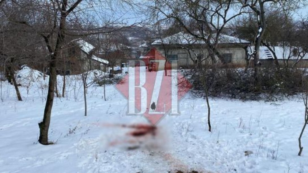 Mărturiile HALUCINANTE ale unui bărbat care și-a decapitat mama cu toporul. Ce l-a determinat să recurgă la acest gest macabru