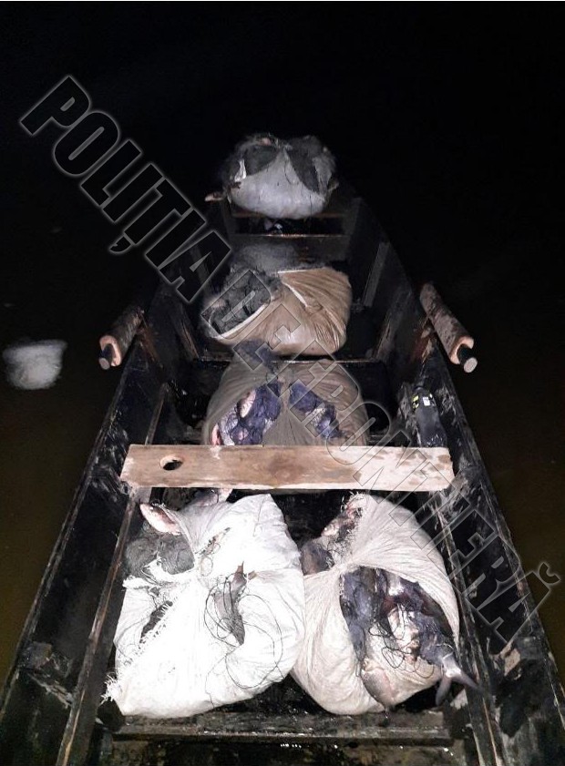 FOTO // Circa 100 kg de pește, prins ilegal în apele de frontieră