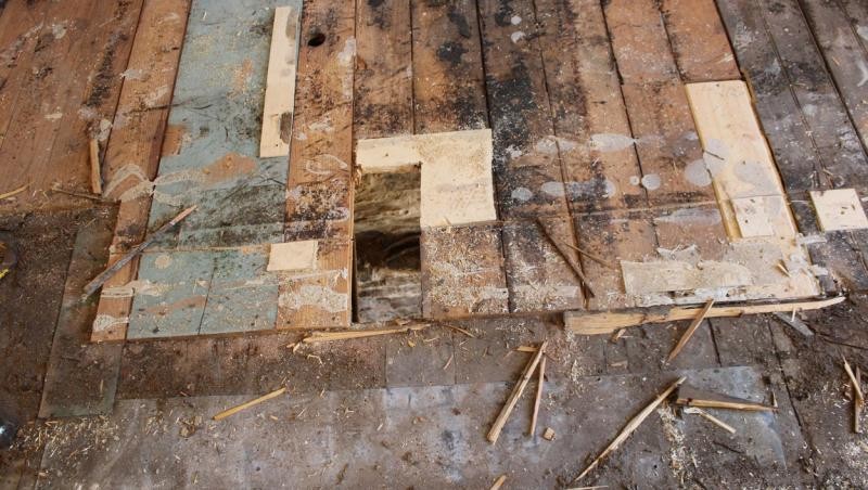 FOTO // Descoperirea UIMITOARE a unui bărbat care și-a dorit să schimbe parchetul vechi din casa sa