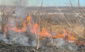 FOTO // INCEDIU de vegetație în Capitală. Focul s-a extins pe o suprafață de peste 10 ha