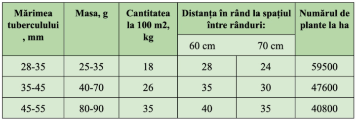 Sfaturi și recomandări la plantarea cartofului