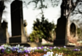 Descoperire MACABRĂ: Cadavrul unui bebeluş a fost găsit lângă o cutie, într-un cimitir din Capitala României