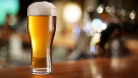 Rusia riscă să rămână fără bere: 98% din hameiul folosit este de import