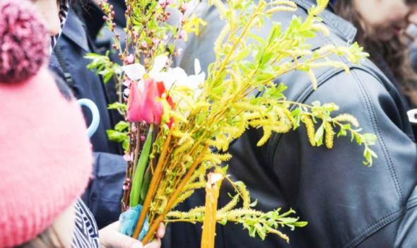 Creştinii ortodocşi sărbătoresc Duminica Floriilor. Ce obiceiuri se practică în această zi