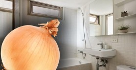 Ce se întâmplă de fapt dacă ții o ceapă în baie. Trucuri care par bizare, dar au efecte uimitoare