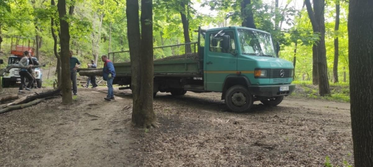 FOTO // Defrișări ILEGALE într-un parc din Chișinău: PAS cere dosar penal pe numele reprezentanților Primăriei Capitalei
