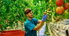 „O afacere durabilă la tine acasă” - granturi de 200 de mii lei pentru tinerii antreprenori