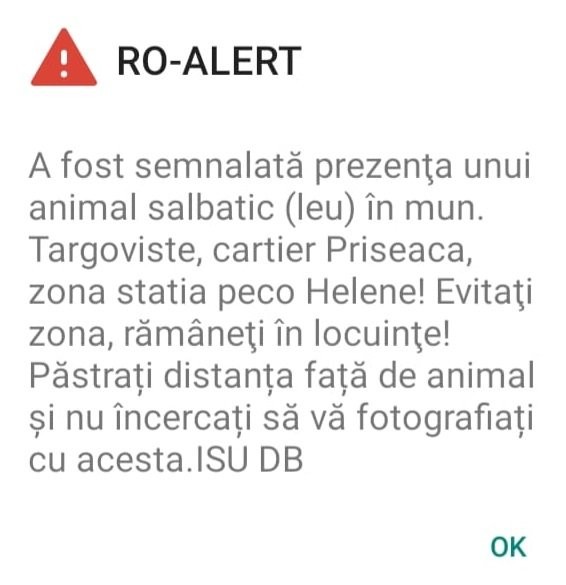 ALERTĂ într-un oraș din România: Locuitorii rugați să rămână în case pentru că un LEU se plimba liber pe străzi