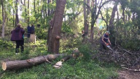 TRAGEDIA din Parcul „Alunelu”: Primăria se spală pe mâini? Acuză Agenția Mediului că n-ar fi permis defrișări
