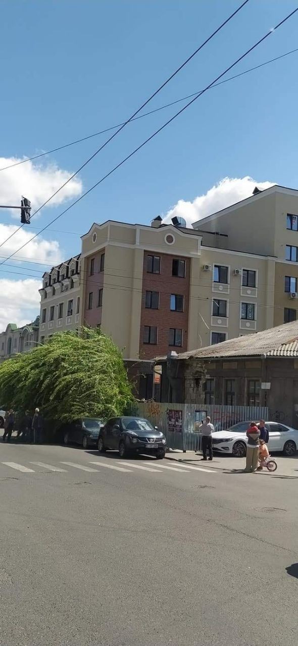 FOTO // Încă un copac a căzut pe o stradă din centrul Capitalei