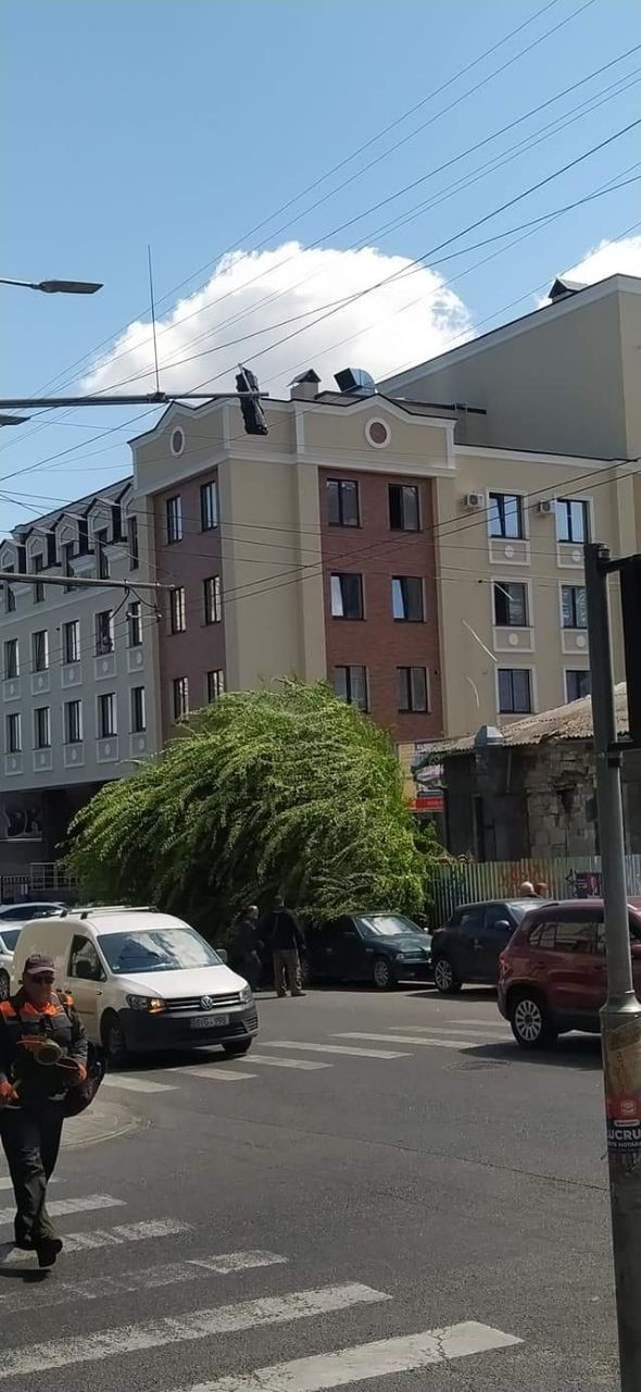 FOTO // Încă un copac a căzut pe o stradă din centrul Capitalei