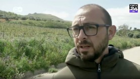 Dilema pentru fermierii italieni: Să facă agricultură sau să-și vândă terenurile avantajos?