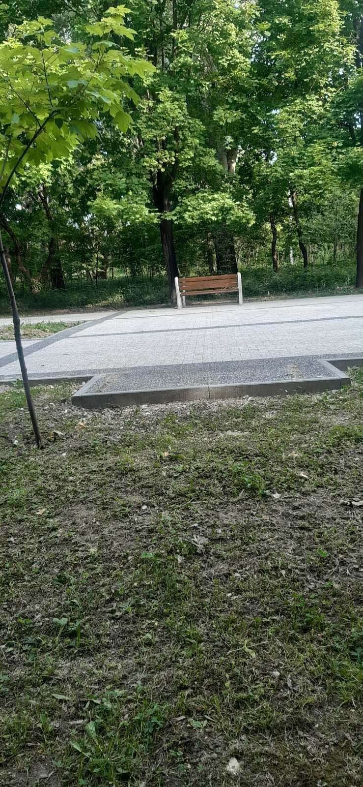 FOTO // REVOLTĂTOR! O bancă VANDALIZATĂ din Parcul „La Izvor” din Chișinău