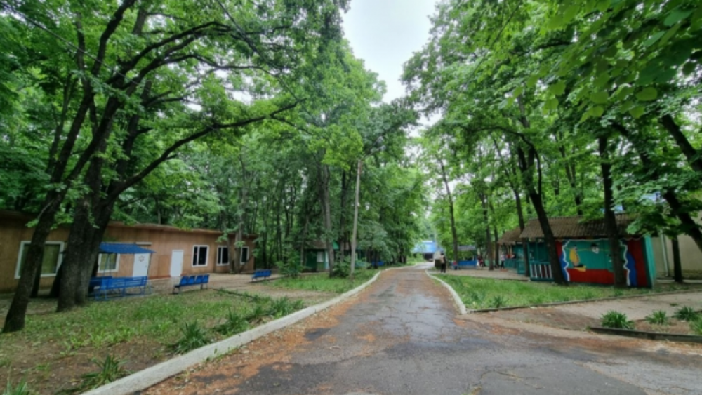 Taberele de vară pentru copii, pregătite de sezonul estival. Cât costă un sejur