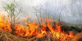 COD GALBEN: Pericol excepțional de incendii pe întreg teritoriul Republicii Moldova