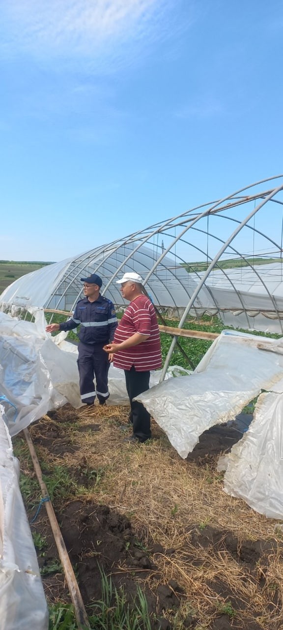 Ploile torenţiale au făcut ravagii în nordul ţării: Copaci prăbuşiţi şi drumuri deteriorate