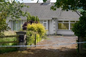Irlanda: Doi bătrâni găsiţi morți în casă după 18 luni de la deces. Vecinii au crezut că s-au mutat