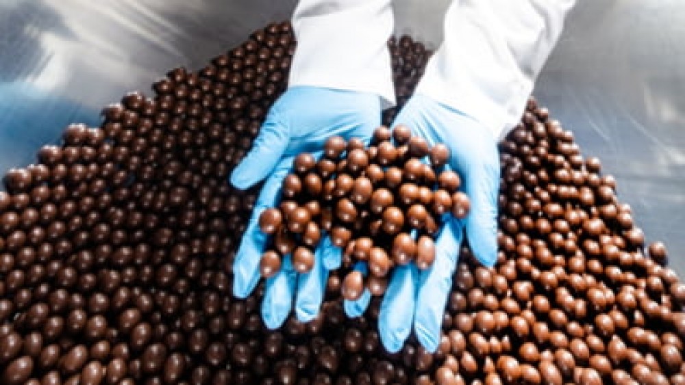 Focar de Salmonella la cea mai mare fabrică de ciocolată din lume. Producția a fost oprită