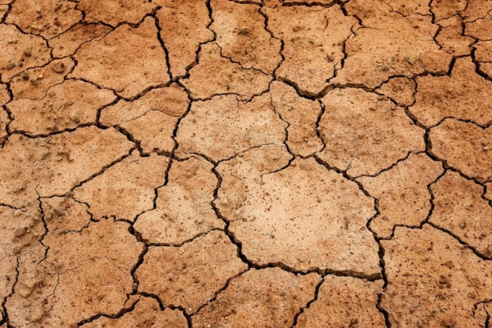 Europa se va confrunta cu veri și ierni mult mai secetoase din cauza încălzirii globale. Atenționările meteorologilor germani