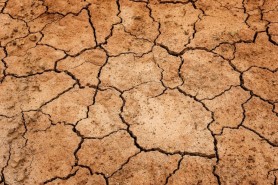 Europa se va confrunta cu veri și ierni mult mai secetoase din cauza încălzirii globale. Atenționările meteorologilor germani