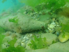 Proiectil de război găsit în Marea Neagră, la 200 de metri distanță de țărmul românesc