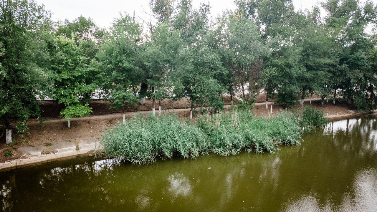 FOTO // La inițiativa lui Ilan Șor, a fost dat startul reconstrucției parcului central din Taraclia