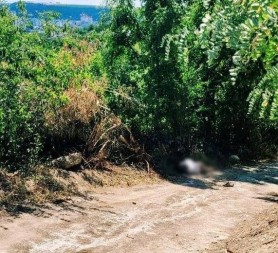 A tamponat mortal un pieton și a fugit. Polițiștii din Rezina au identificat și localizat presupusul vinovat