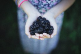 Ce se întâmplă în corpul tău când mănânci mure. 6 motive să le consumi zilnic