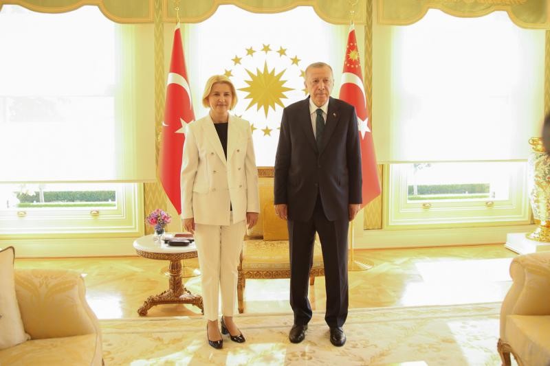 Irina Vlah, a avut o întrevedere cu președintele Turciei, Recep Tayyip Erdogan