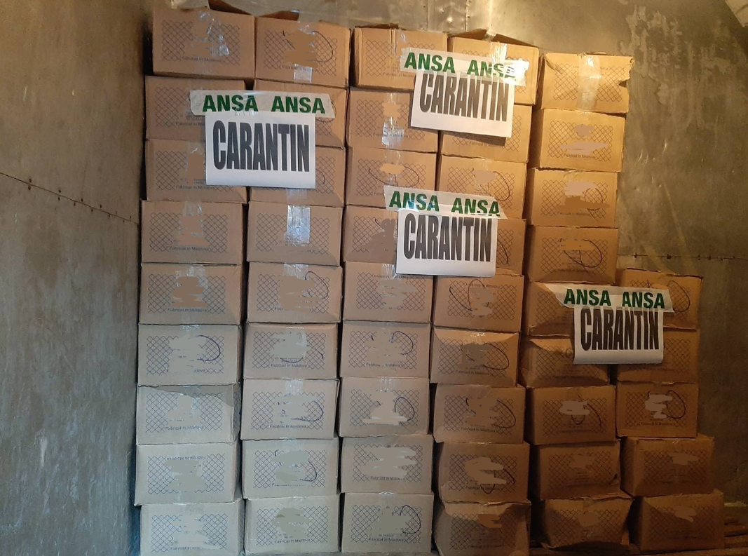 Pelmeni cu carne de pui, infectați cu Salmonella Enteritidis. ANSA nu a admis ca produsele să ajungă pe rafturile magazinelor