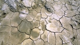 AVERTISMENT lansat de oamenii de știință: Lumea va fi de nerecunoscut, nu vom putea rezista schimbărilor climatice