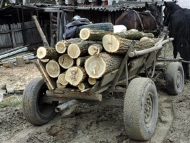 Ultima ORĂ // Criza energetică: CSE INTERZICE transportarea lemnului între orele 23:00 - 6:00