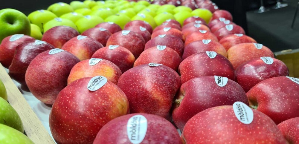 Rușii INTERZIC produsele agricole din Republica Moldova. Iată motivul invocat de Federația Rusă